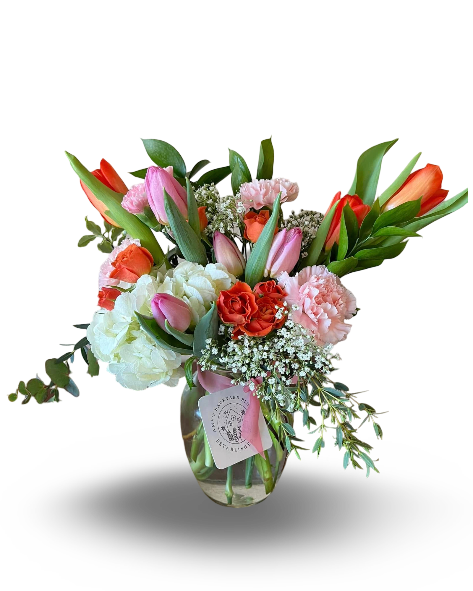 Img 3748 648348d6 2264 467a bdb1 fb3bd9d30b1e