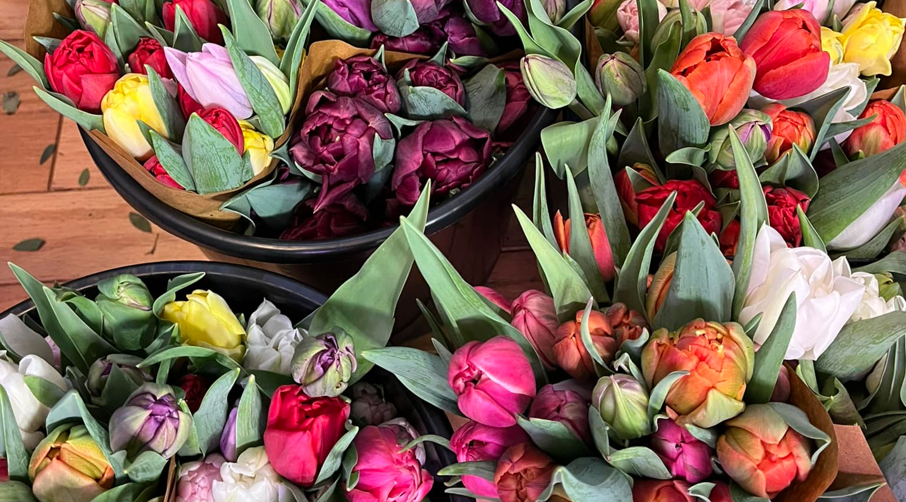 Screenshot 2025 03 04 at 12